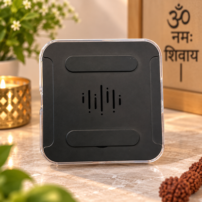 Neem Karoli Baba Fridge Music Magnet